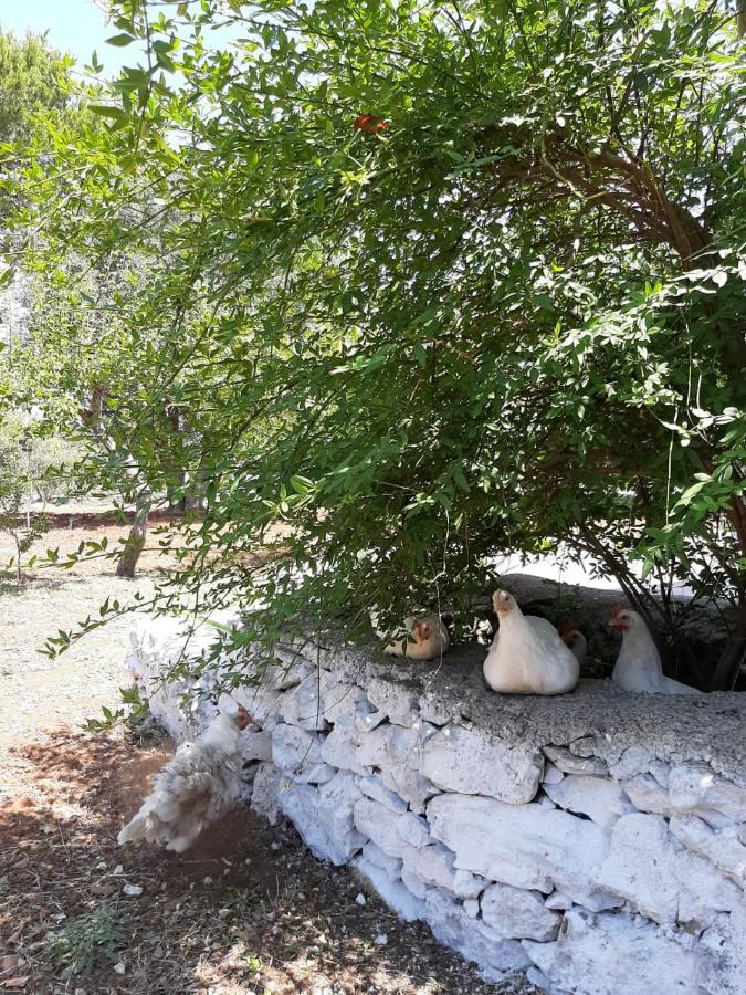 Trullo Fellone Villa Ceglie Messapica Exterior photo